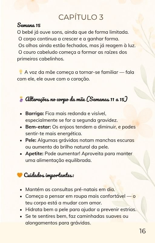 caítulo 3 do ebook A doce viagem da gravidez