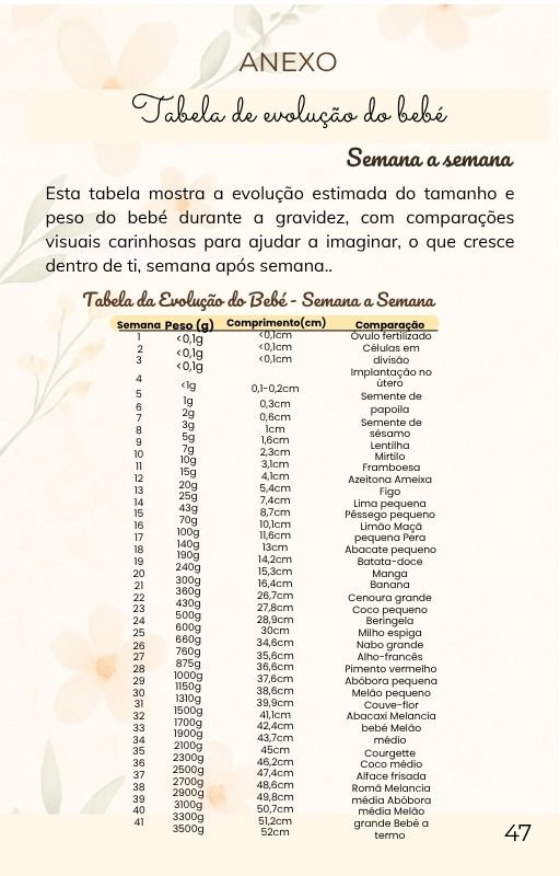 anexo do ebook A doce viagem da gravidez